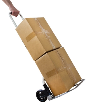 RuckZuck Transport- &amp; Sackkarre Junior 70 KG